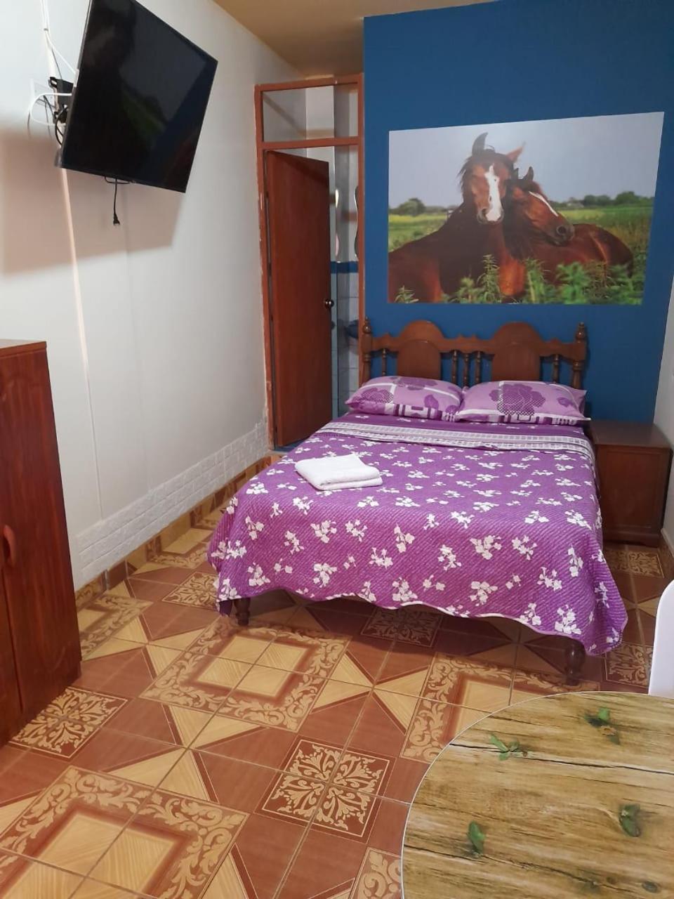 Nasca Trails B&B Наска Экстерьер фото